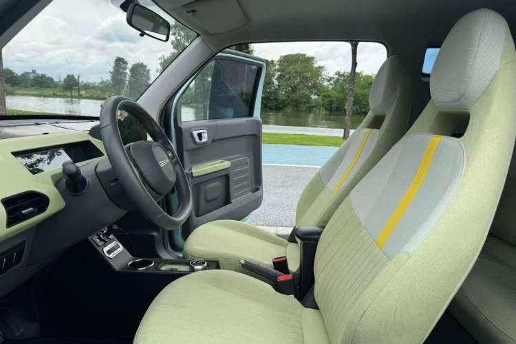 Used  Panda 2023 Panda Mini 200km Endurance Bear
