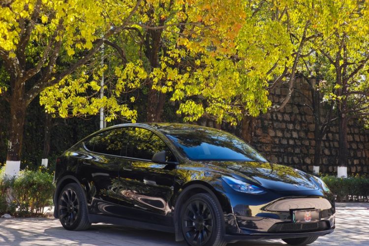 Used Tesla Model Y 2022 Rear-Wheel-Drive Version