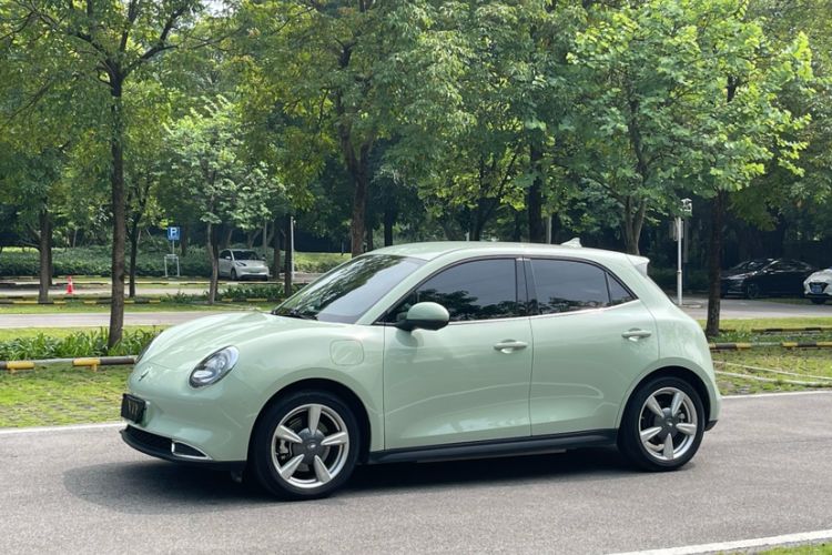 Used ORA Good Cat 2023 401 km Standard Range Luxury Version Lithium Iron Phosphate
