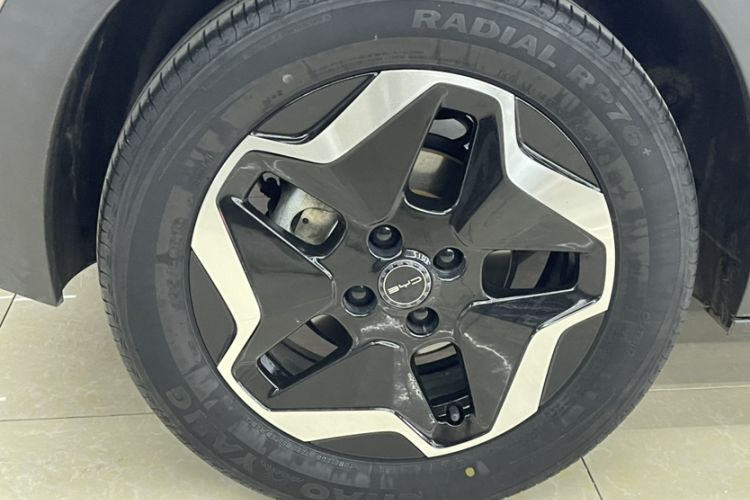 Used BYD Dolphin 2021 405 km Free Version
