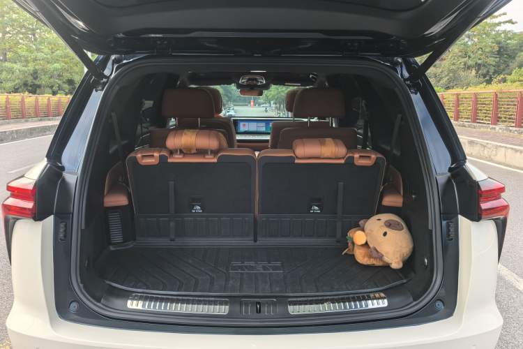 Used Wey Lanshan 2023 Four-Wheel Drive Ultra-Long Range Version