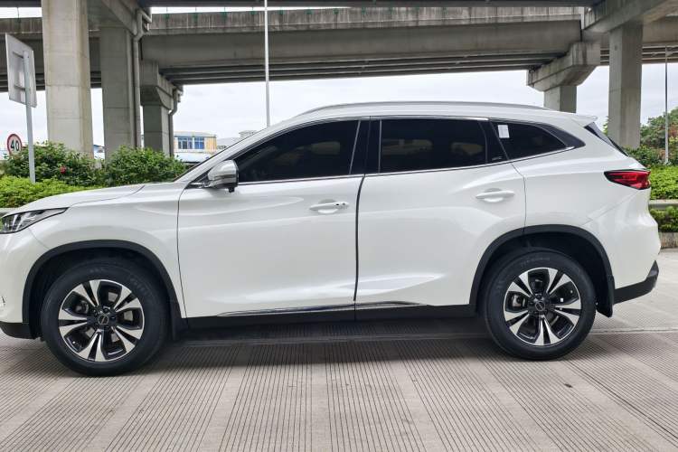 Used  TX 2019 1.6T Four-Wheel Drive Platinum Edition
