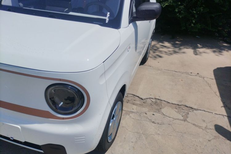 Used  Panda 2024 Panda Mini 200km Endurance Bear
