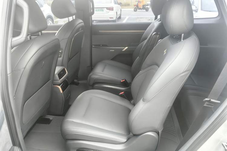 Used  eπ008 2024 636Max All-Electric Version 6 Seats
