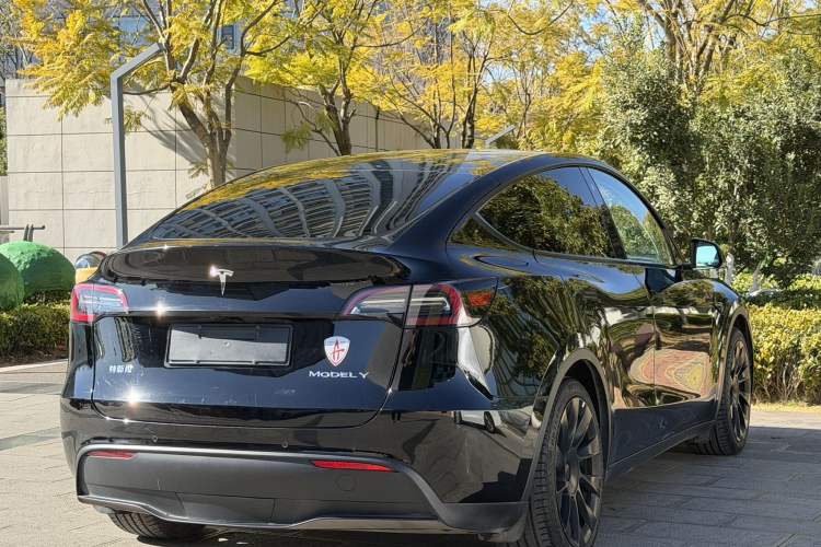 Used Tesla Model Y 2021 Standard Range Rear-Wheel Drive Version