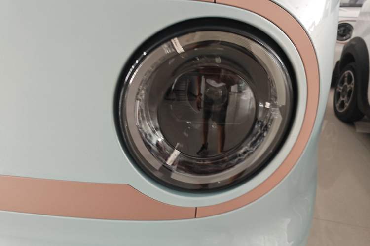 Used  Panda 2024 Panda Mini 200km Endurance Bear
