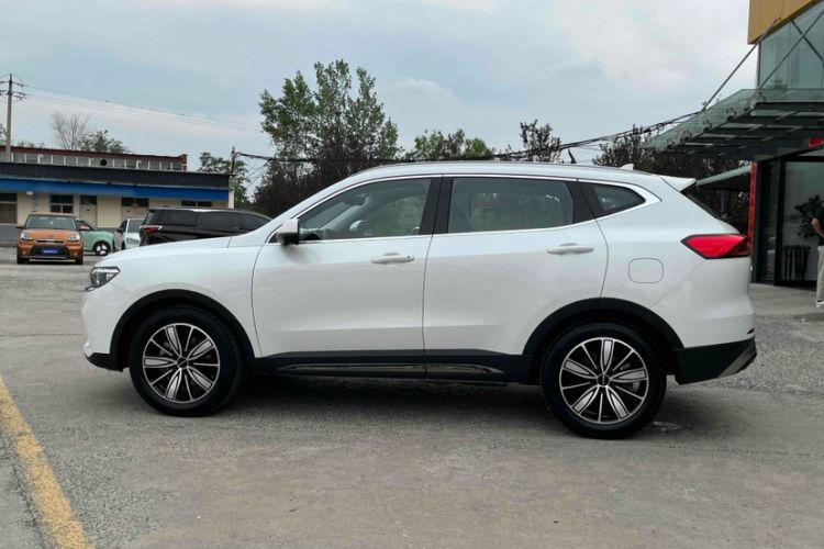 Used Haval H6 2023 National Trend Edition 1.5T Automatic Champion Version
