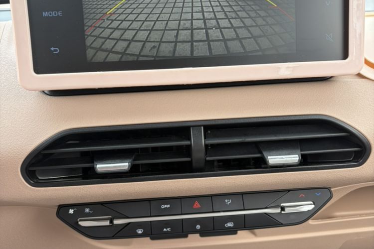 Used  Panda 2023 Panda Mini 200km Endurance Bear
