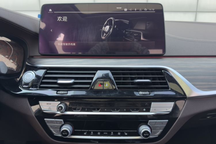 Used BMW 5 Series 2021 530Li Leading Luxury Package