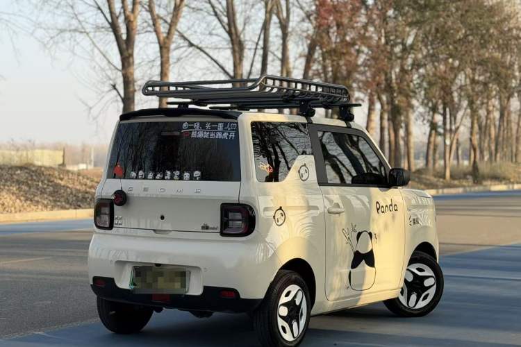Used  Panda 2025 210 km – Yuanqi Bear
