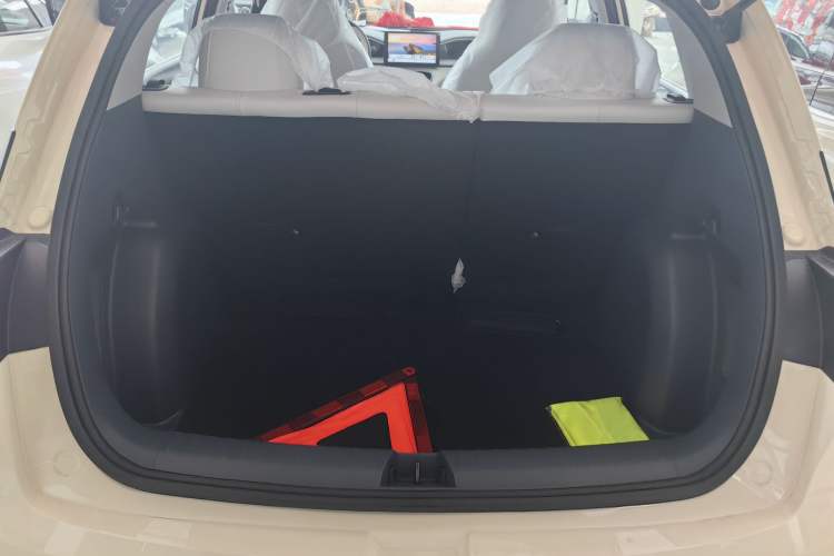 Used  Geome 2025 310km Youth Edition
