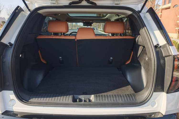 Used AION V 2024 Aion Tyrannosaurus 650 Smart Luxury Edition
