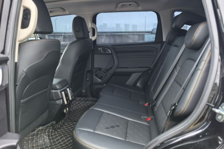 Used Haval DARGO 2024 2.0T DCT Chinese Rural Dog Edition