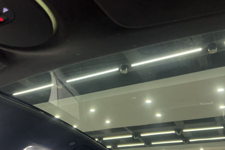 Used  07 2024 Max Pure Electric Edition
