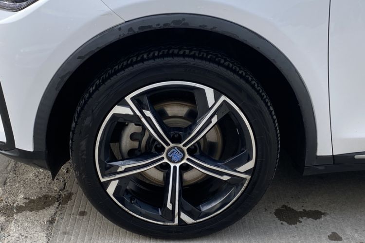 Used BYD Tang New Energy 2021 DM 2.0T Four-Wheel Drive Performance Edition Prestige Model