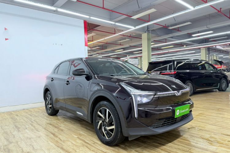 Used NETA U 2021 Pro 400 Cruiser Edition