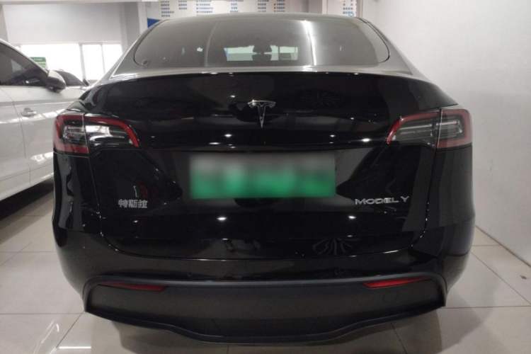 Used Tesla Model Y 2021 Standard Range Rear-Wheel Drive Version
