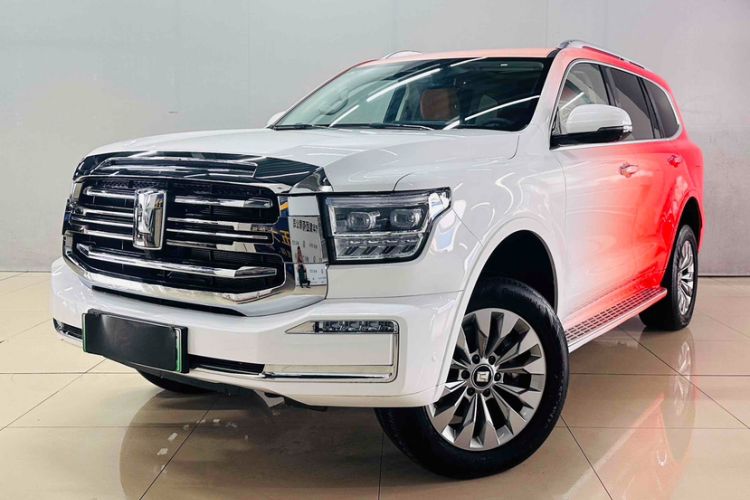 Used Tank 500 New Energy 2025 Hi4-Z
