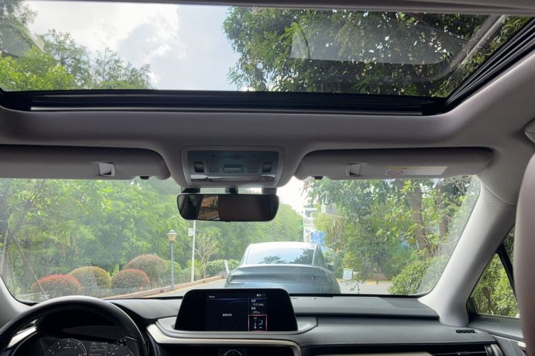 Used Lexus RX 2020 300 Two-Wheel Drive Elite Edition China VI Standard
