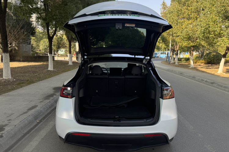 Used Tesla Model Y 2021 Long-Range All-Wheel-Drive Version