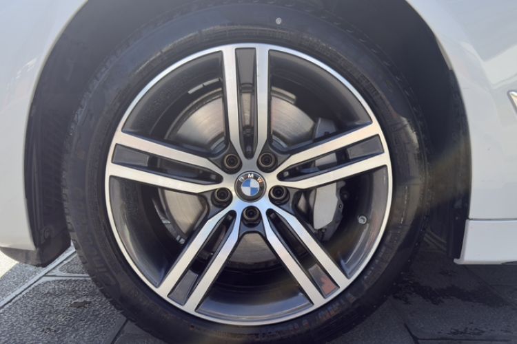 Used BMW 5 Series 2021 530Li Leading Luxury Package