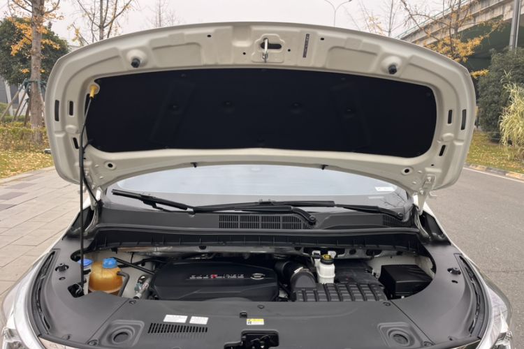 Used GAC Trumpchi M8 2021 Master Series 390T Prestige Edition
