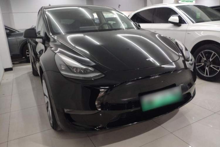 Used Tesla Model Y 2021 Standard Range Rear-Wheel Drive Version
