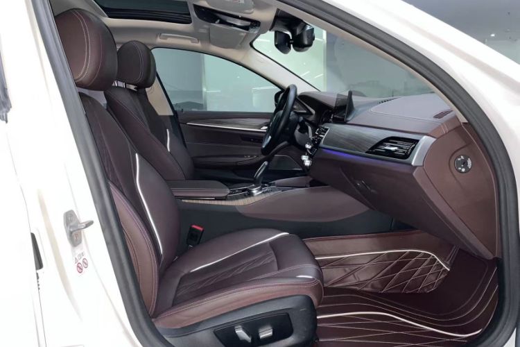 Used BMW 5 Series New Energy 2020 530Le Luxury Package
