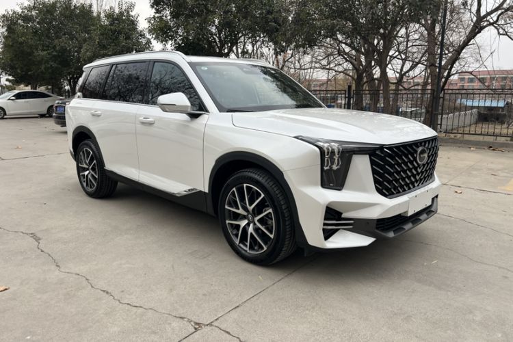 Used GAC Trumpchi GS8 2024 Linghang Series 2.0 TGDI Two-Wheel Drive Luxury Smart Connectivity Version
