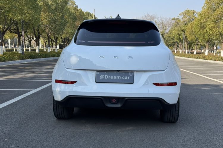 Used ORA Good Cat 2024 401 km Luxury Version
