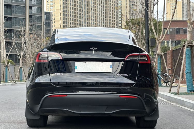 Used Tesla Model Y 2022 Long-Range All-Wheel-Drive Version