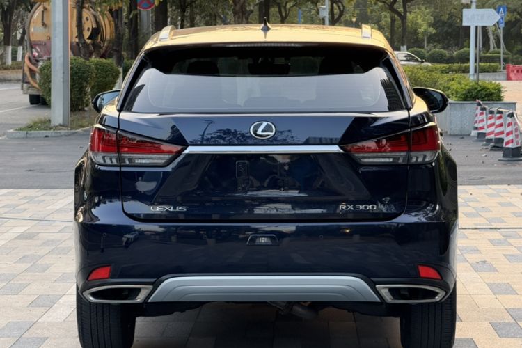 Used Lexus RX 2020 300 Two-Wheel Drive Elite Version China V Standard
