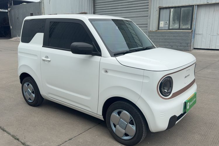 Used  Panda 2024 Panda Mini 200km Endurance Bear
