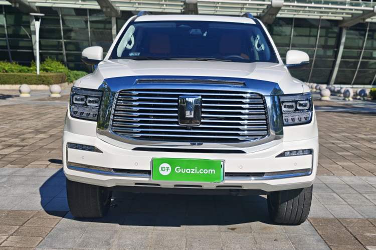 Used Tank 500 New Energy 2025 Hi4-Z
