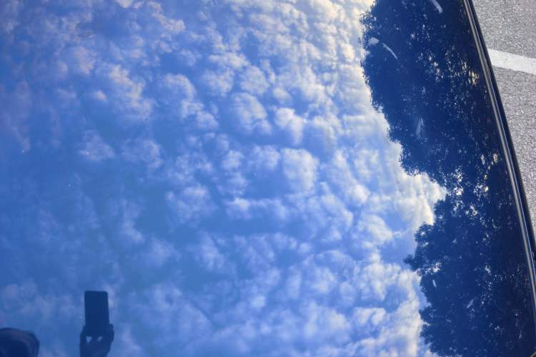 Used Infiniti Q50L 2016 2.0T Ambition Edition