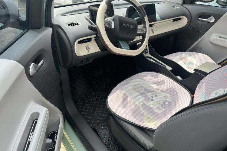 Used  Lumin 2022 210km Sweet Edition
