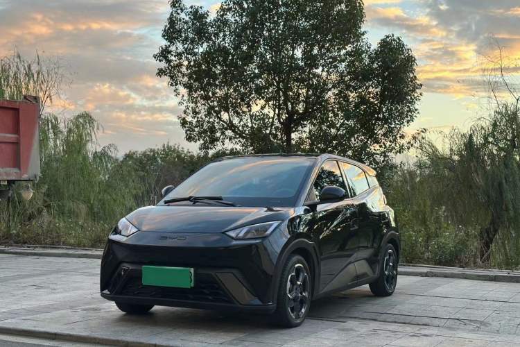 Used BYD Seagull 2023 Flying Edition
