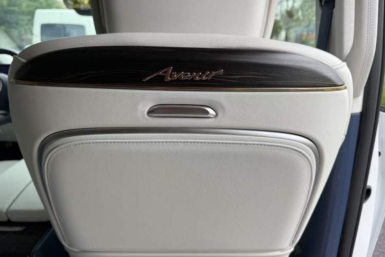 Used Buick Century 2023 2.0T Six-Seater Yinshi Edition
