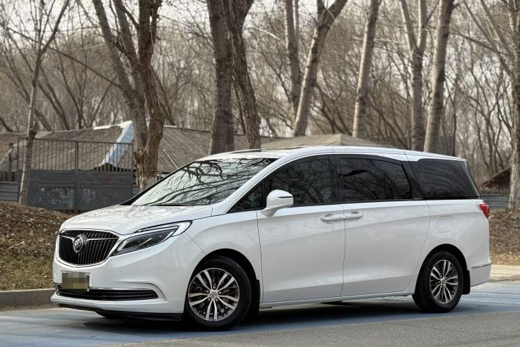 Used Buick GL8 2018 ES 28T Luxury Model China VI Standard