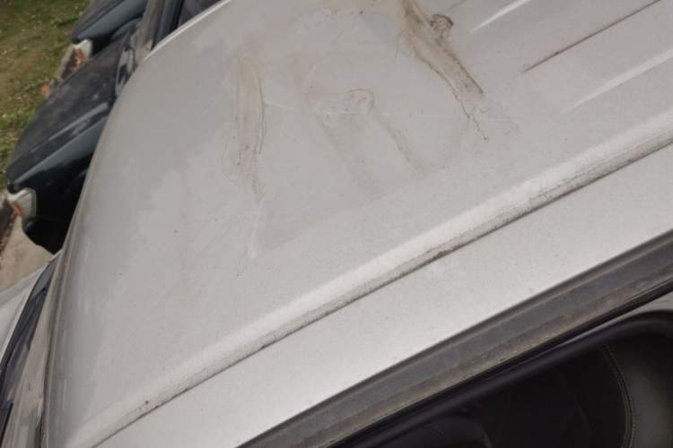 Used Dongfeng Ruichi 2021 2.4L Gasoline Two-Wheel-Drive Base Model for Entrepreneurship Model 2TZD
