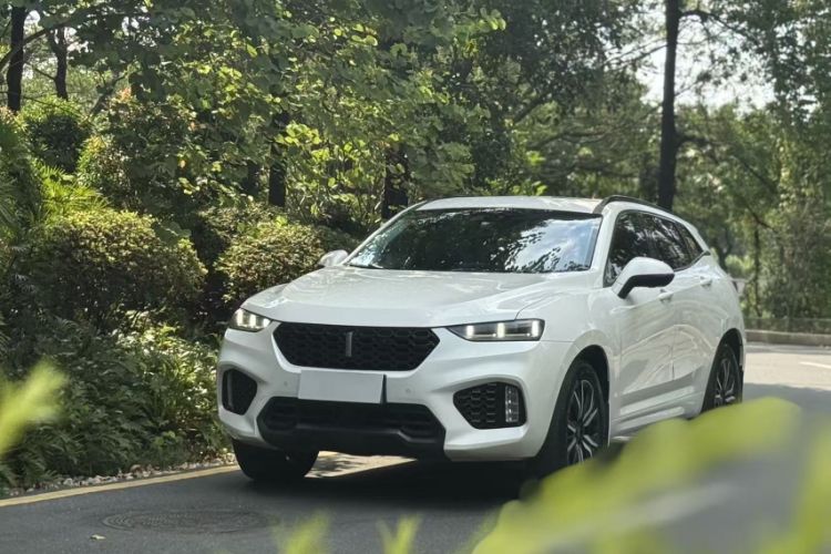 Used Wey VV7 2017 2.0T Ultra-Luxury Version
