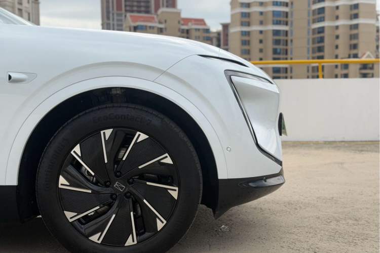 Used  07 2024 Pro Pure Electric Version
