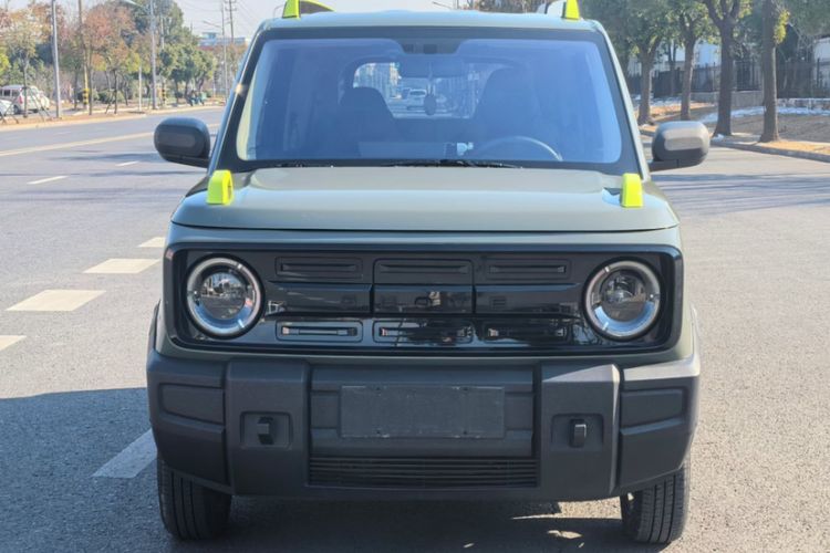 Used  Panda 2024 200km Panda Rider