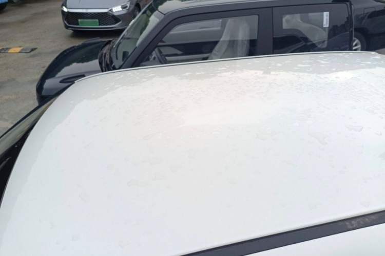 Used  Lumin 2025 205 km Xiangqin Version
