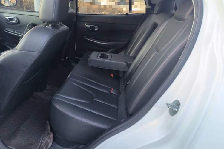 Used Dayun Yuehu 2021 32.85 kWh Two-Wheel-Drive Sprite Version