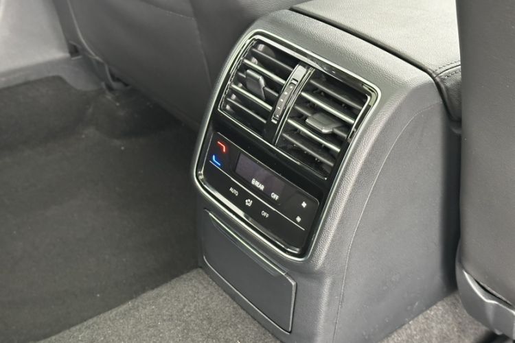 Used Volkswagen Magotan 2020 330TSI DSG Leading Model
