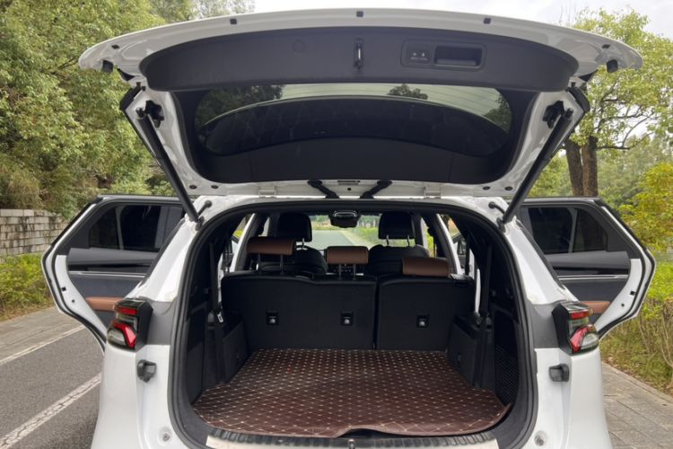 Used BYD Tang New Energy 2021 DM 2.0T Four-Wheel Drive High-Performance Flagship Model