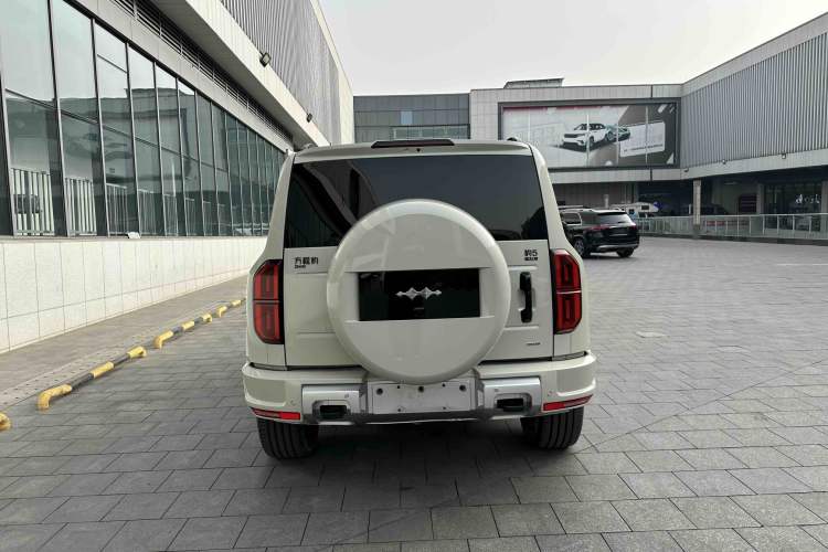 Used  Leopard 5 2025 TianShen Intelligent Driving Ultra Edition
