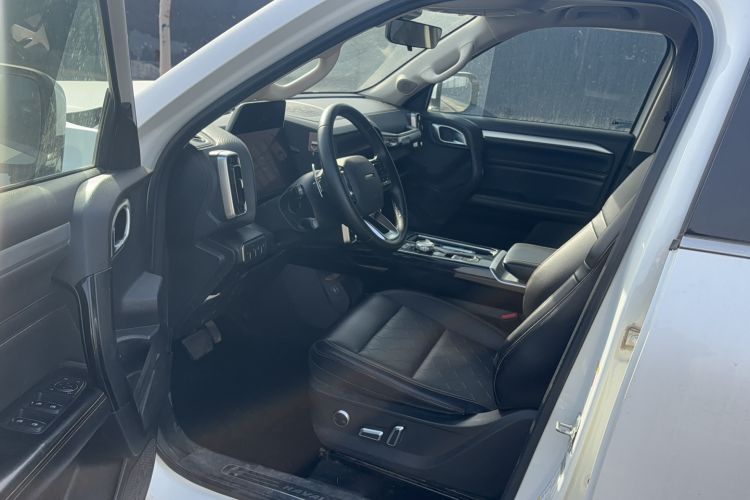 Used Haval DARGO 2021 2.0T DCT 4x4 Chinese Rural Dog Edition
