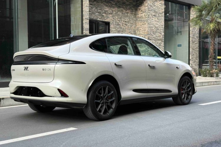 Used  LS6 2023 Max Standard Edition
